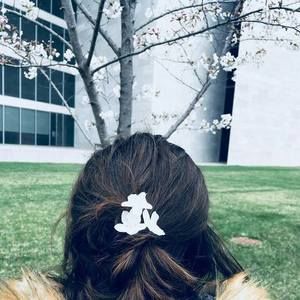 Meet your Posher, Suzanne